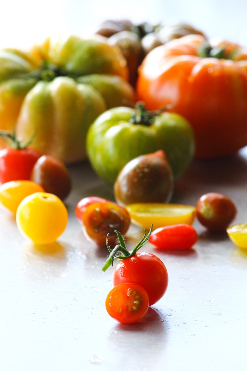 Tomates_1577